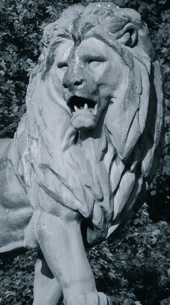 Bruxelas. Foto A.A.Bispo 2015. Arq. A.B.E.